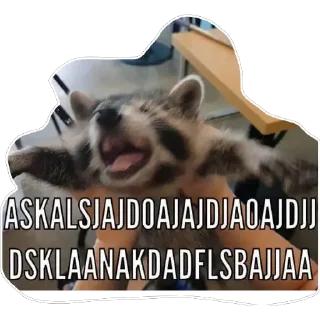 🤣 Habēmus Raccoon, стикер Telegram 20 из 120