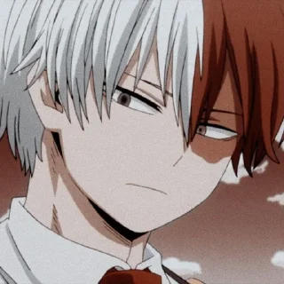 🌪 Todoroki @stickernct, стікер Telegram 19 з 25