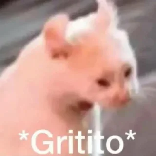 🐾 🐈 猫さん！/⁠ᐠ⁠｡⁠ꞈ⁠｡⁠ᐟ⁠\。, Telegram sticker 23 of 75