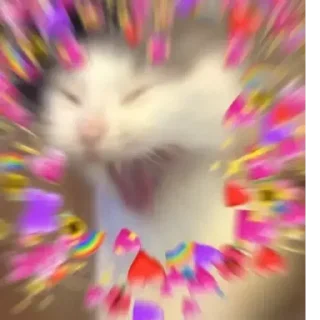 🐾 🐈 猫さん！/⁠ᐠ⁠｡⁠ꞈ⁠｡⁠ᐟ⁠\。, Telegram sticker 21 of 75