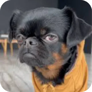 😒 Tanto faz, Telegram sticker 7 of 79