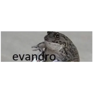 🐸 obg kwai pela minha casa própria, Telegram sticker 6 of 100