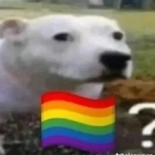 🏳️‍🌈 que, sticker Telegram 17 sur 37