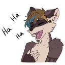 Milo The Raccoon