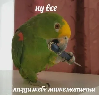 🇧🇷 ДикейОтДиСи, стикер Telegram 24 из 26