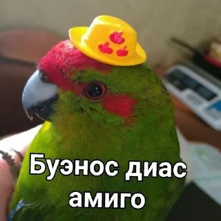 🇧🇷 ДикейОтДиСи, стикер Telegram 2 из 26