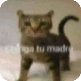 Sandy 2 xd