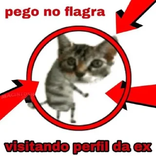 🐱 babidi, стикер Telegram 10 из 25
