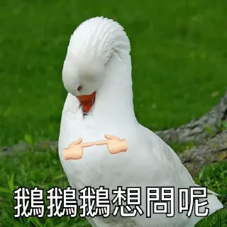 鵝又番黎啦