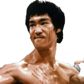 😄 Bruce leee, sticker Telegram 9 sur 18