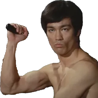 😄 Bruce leee, sticker Telegram 15 sur 18