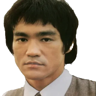 😄 Bruce leee, sticker Telegram 7 sur 18