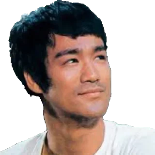 😄 Bruce leee, sticker Telegram 6 sur 18