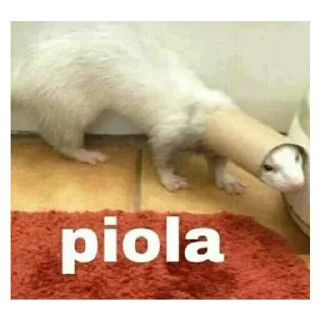 😼 El pack de tu abuela, Telegram sticker 19 of 120