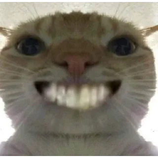 😁 Favoritos, стікер Telegram 17 з 119