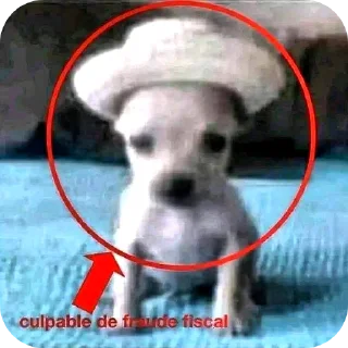 🐶 Gatos de chetito, sticker Telegram 22 sur 120
