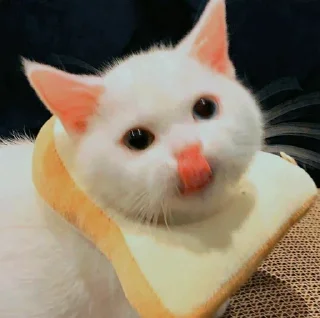 🍞 Já falei que é meu, Telegram sticker 24 of 120