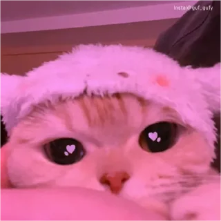 Aurorita💗