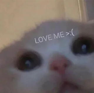 🥺 Chin's pussies collection 🌚, Telegram sticker 24 of 29