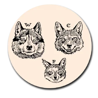 👨‍👨‍👦 Vintage Coyotes, стикер Telegram 8 из 48
