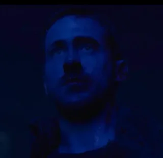 Gosling