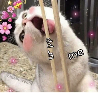 🤤 @Le_Patrie (◍•ᴗ•◍), sticker Telegram 14 sur 120