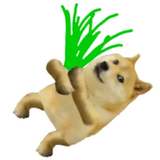 😅 狗狗币Dogecoin @doge88, стикер Telegram 6 из 38