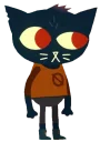 NitW
