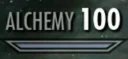 Skyrim 💯