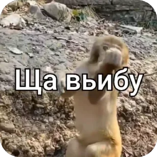 🫥 йой, стикер Telegram 21 из 73