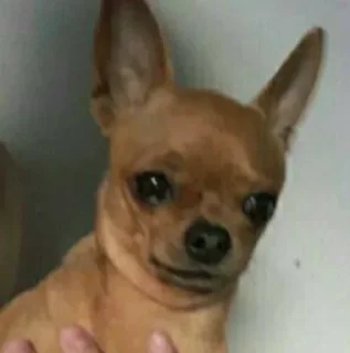 😢 não reaja, Telegram sticker 13 of 57