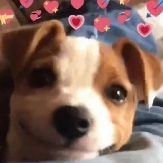🥺 não reaja, Telegram sticker 22 of 57
