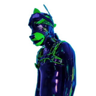 Pup Junkers