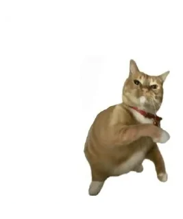 Throwing Things