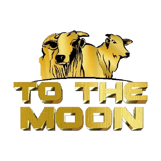 🤯 Confinamento Token, Telegram sticker 10 of 19