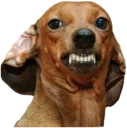 😡 Diversos Stickers, стікер Telegram 10 з 56