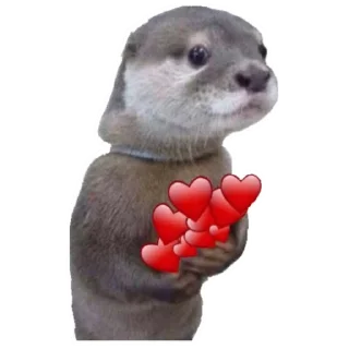 ❤️ Más Muebles, Telegram sticker 17 of 83
