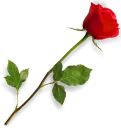 💐 Flowers, стікер Telegram 10 з 100