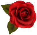 💐 Flowers, стікер Telegram 19 з 100
