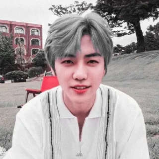 🌬 𖥦 ٭࣭ jaemin ¡!⭒ ៶៶᮫ׄ  @renisshelp, стикер Telegram 9 из 65