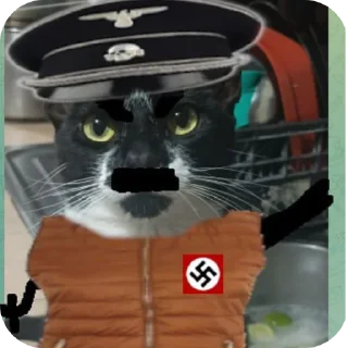 🐱 tilín, sticker Telegram 17 sur 119