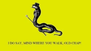 no step on snek