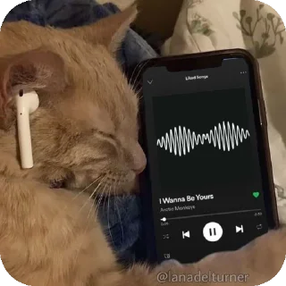🐱 Gatitos fofitos 💞, стикер Telegram 13 из 31
