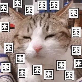 ▶️ @GM9600  深圳👉5米上课., sticker Telegram 15 sur 39