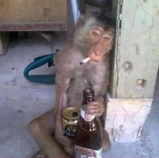 🍺 CL MOOD 2.0, стікер Telegram 19 з 105