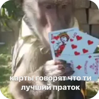 🫥 йой, стікер Telegram 20 з 73