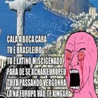 🇧🇷 lixeira da maribela, Telegram sticker 13 of 30