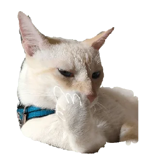 🖕 lerax, sticker Telegram 12 sur 16