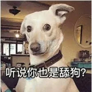 💗可玩可代 💗 满天星 @NB66888