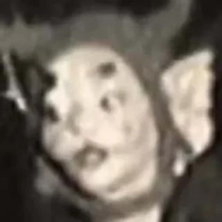Fada Monstro Rosa